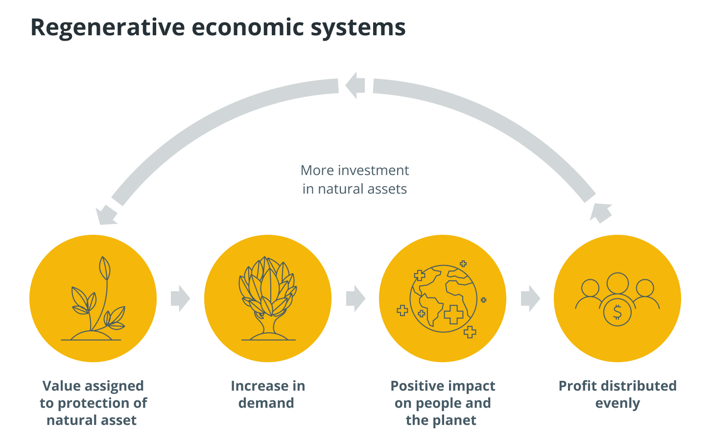 Regenerative economic systems